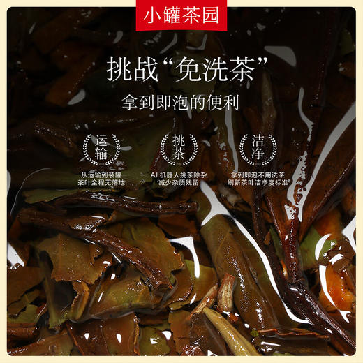 小罐茶园 彩标系列陈皮白茶120g（24饼） 商品图3