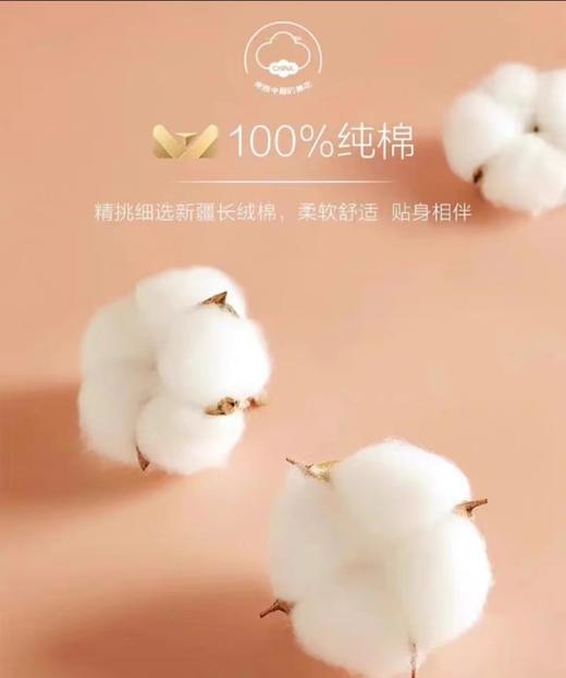 小护士秋衣女士套装纯棉圆领 商品图3