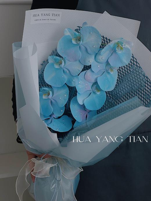 人鱼姬蝴蝶兰·花束 商品图0