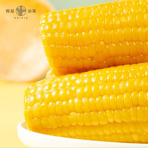 粹品沁采东北鲜食黄糯玉米礼盒2.2kg（新老包装随机） 商品图2