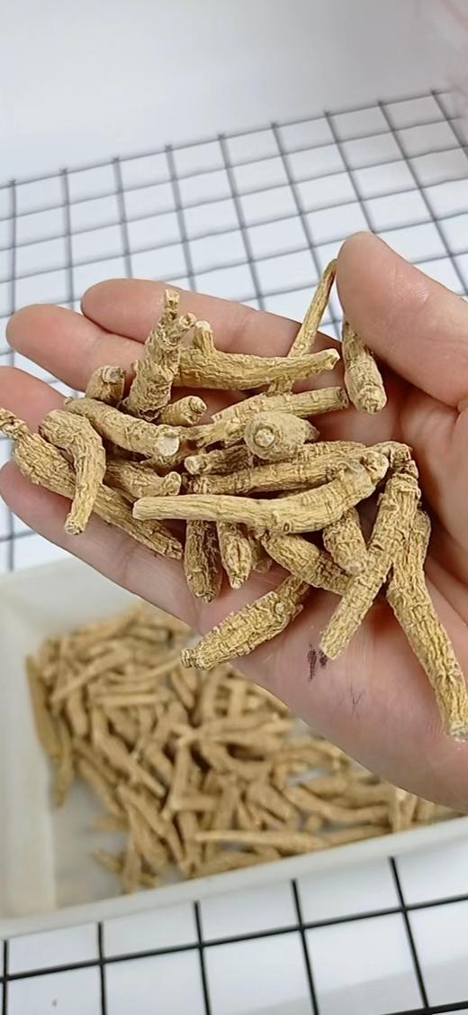 西洋参 参枝，一根3g，一磅装，活动：买10赠1 商品图2