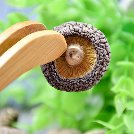 长岭尖原木冬菇98g*2袋 商品图2