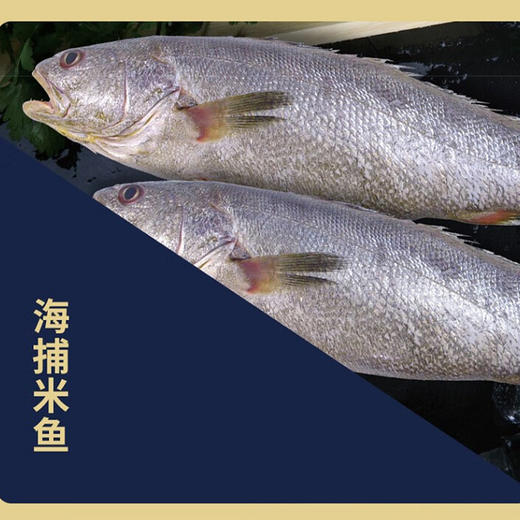 海鲜港518-金玉满堂3730g【LXHNDQ2.7】 商品图4