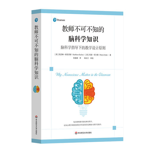 教师不可不知的脑科学知识 脑科学指导下的教学设计原则 神经科学 认知心理学 教学指导核心原则 商品图0