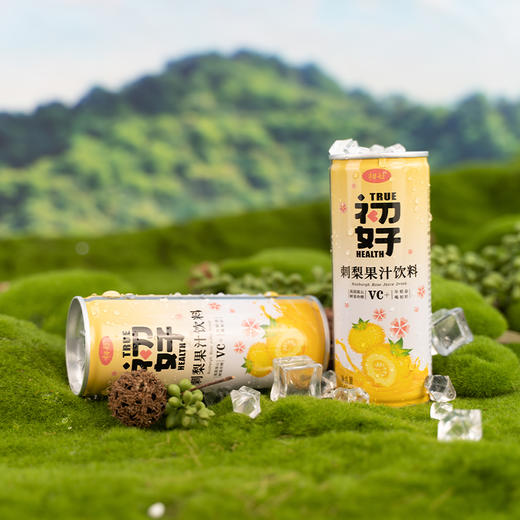 刺梨果汁饮料240ml*20 商品图2