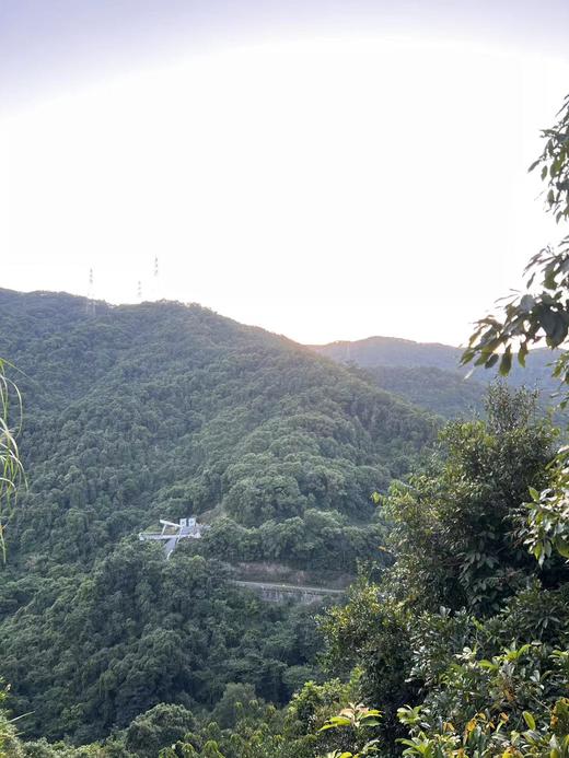 【泊寓户外】11月18日阳台山徒步 商品图2