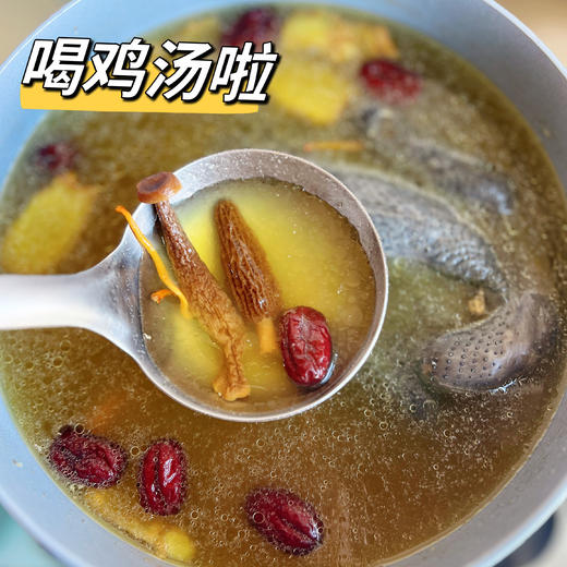 ✨原种泰和乌鸡【中秋佳节】送礼更体面✅林间散养✅新鲜现杀✅孕产妇·小孩·病人滋补优品🚚3天内发货~ 商品图0