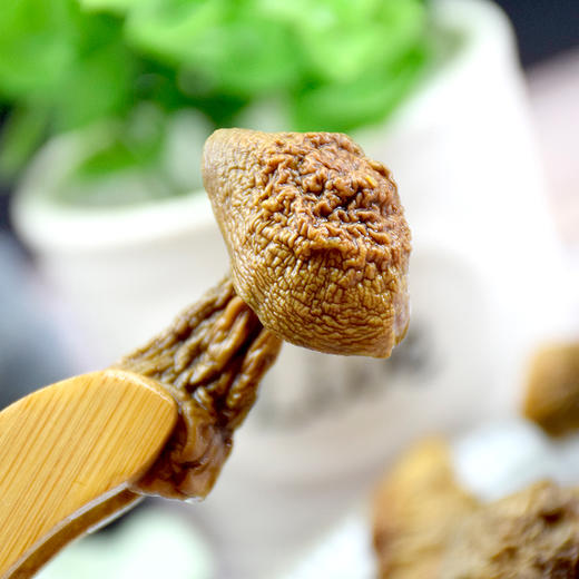 长岭尖精选姬松茸78g*2袋 商品图4