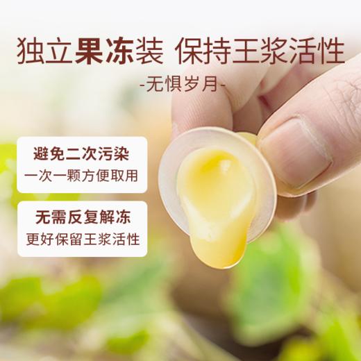 汪氏甄品蜂王浆纯正营养方便青海新鲜高活性低产蜂王浆300g/盒 商品图2