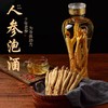 【颗颗精选！每一颗都是精品】十年大参，集长白山干参、生晒参、白参于一身，香气扑鼻，色泽诱人。东北特产 商品缩略图1
