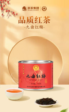 九曲红梅茗品一级100g单罐