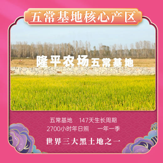 【隆平农场大米】隆平芯米五常大米饱满油亮软糯Q弹5KG GB/T19266 商品图1