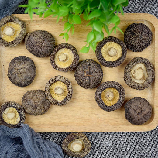 长岭尖原木冬菇98g*2袋 商品图1