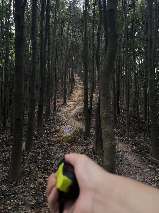 【泊寓户外】11月18日阳台山徒步 商品图3