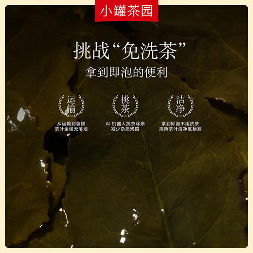 小罐茶园 彩标系列铁观音茶（清香）140g 商品图3