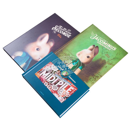 【中商原版】海贝卡朵特梅 兔子系列绘本 纸雕书 折页书3本套 附赠短暂一秒钟海报 法文原版 商品图2