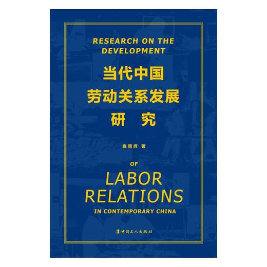 当代中国劳动关系发展研究 商品图1