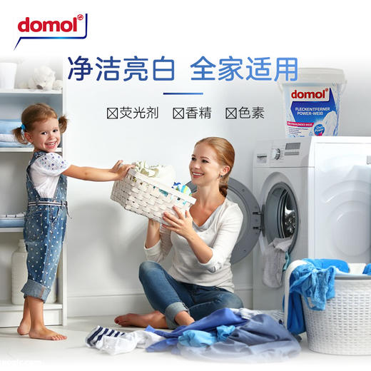 德国Domol漂白剂白衣服物去黄增白强效去渍清洁剂洗衣粉 750g/桶 商品图4