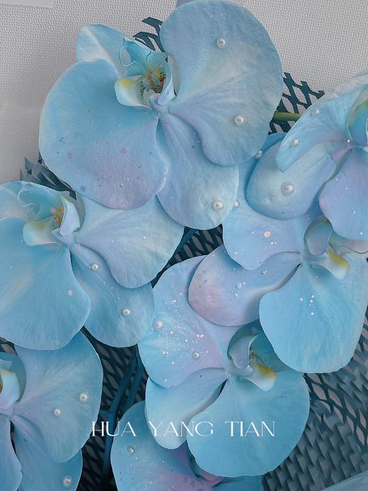 人鱼姬蝴蝶兰·花束 商品图2