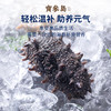 鲜食海参辽参大连海参6-7头/500g（7斤送3斤到手10斤）鲜爽Q弹滋补 商品缩略图0