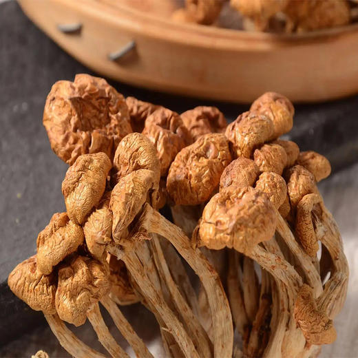 长岭尖精选滑子菇48g*2袋 商品图3