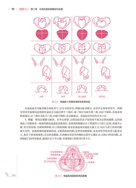 母婴护理学 第4版 莫洁玲 十四五规划教材 全国高等学校教材第七轮7版 供本科护理学类专业用 人民卫生出版社9787117350204 商品图3