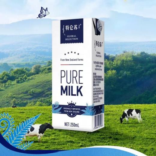 【超市】特仑苏环球精选纯牛奶 商品图1