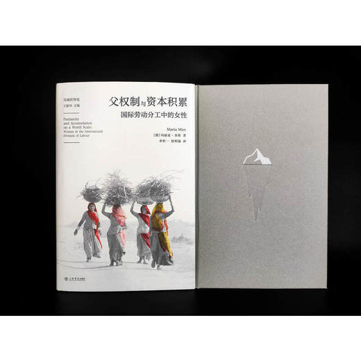父权制与资本积累：国际劳动分工中的女性（共域世界史） 商品图1