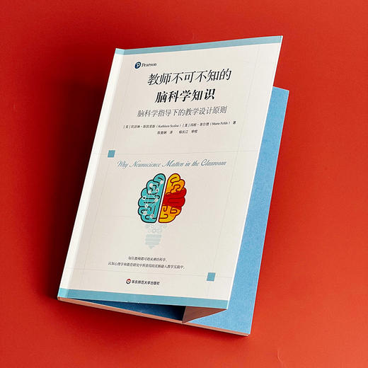 教师不可不知的脑科学知识 脑科学指导下的教学设计原则 神经科学 认知心理学 教学指导核心原则 商品图8