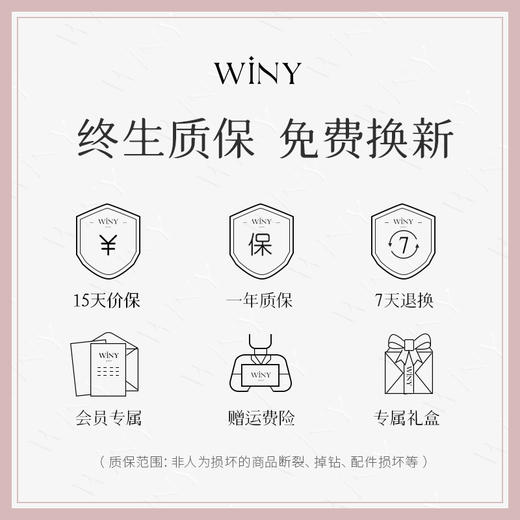 Winy925纯银绣球耳钉送女友闺蜜老婆爱人节日生日礼物 商品图8