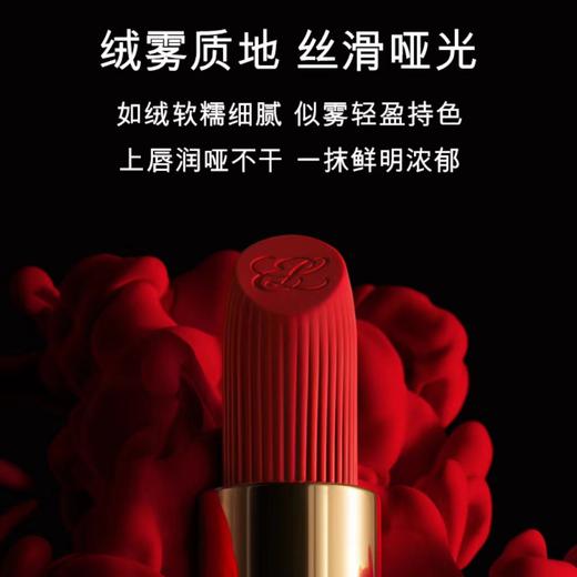 雅诗兰黛绒雾小金管哑光 商品图1