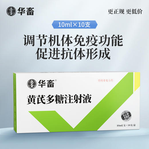 华畜 黄芪多糖注射液10支 抗病毒 防流感 增免疫 头孢稀释液  商品图0