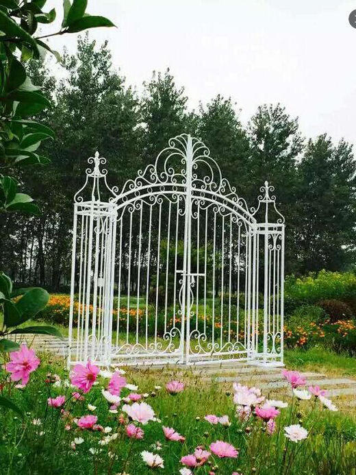 大铁门【运费自理】 商品图0