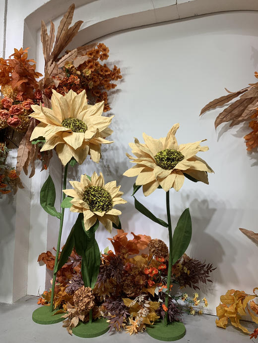 太阳花（运费自理） 商品图2