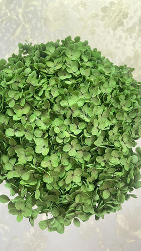 【干花~永生花】绣球（墨绿色）单枝