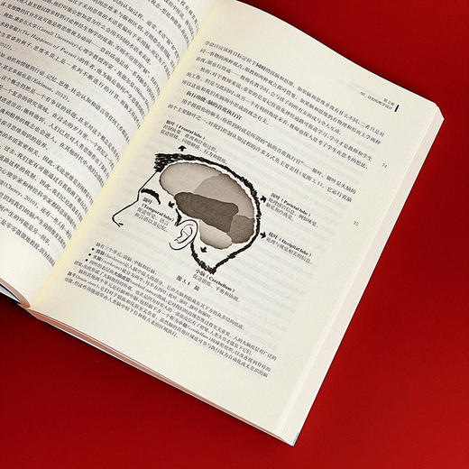 教师不可不知的脑科学知识 脑科学指导下的教学设计原则 神经科学 认知心理学 教学指导核心原则 商品图12