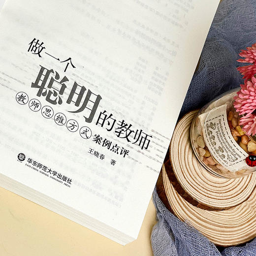 做一个聪明的教师 教师思维方式案例点评 王晓春 大夏书系 商品图8