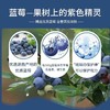 蓝莓明眸丸 眼睛模糊青年熬夜护眼发现新“视”界 商品缩略图3