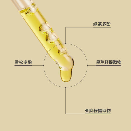 【桃红梨白专享】雏菊的天空桂影慕兰精华油30ml 商品图3