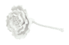 MM 香氛散香器配件-石膏花头MM141-G牡丹花型 商品缩略图0