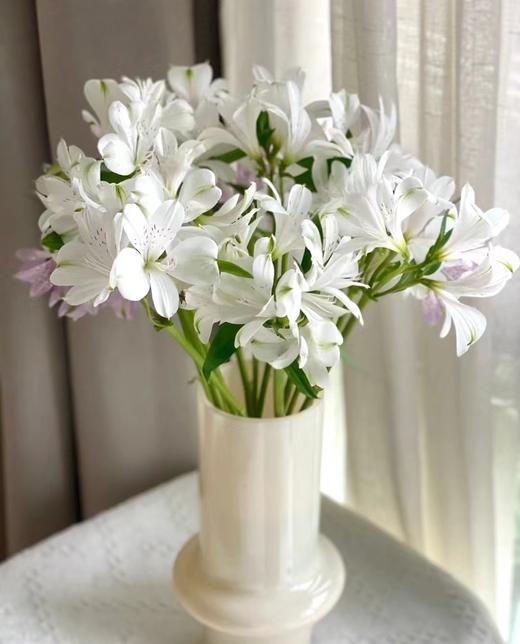 配花 | 六出花艾思 商品图0