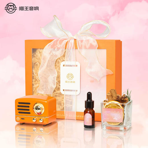 MW-2A猫王小王子FM蓝牙便携式音箱 商品图0