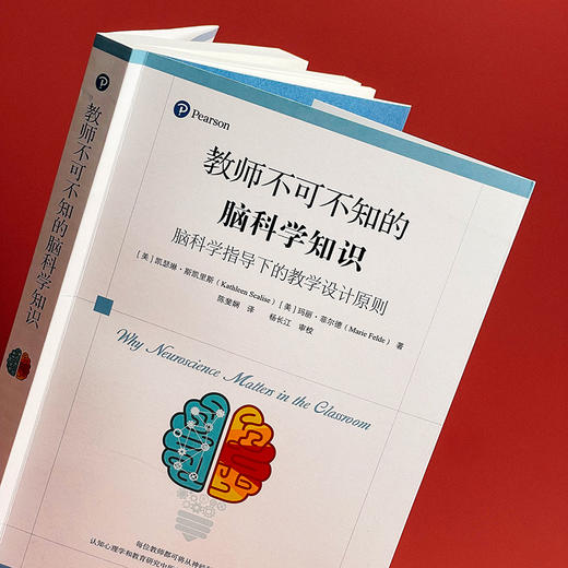 教师不可不知的脑科学知识 脑科学指导下的教学设计原则 神经科学 认知心理学 教学指导核心原则 商品图5