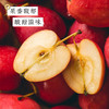 【酸甜可口  水分充足】新疆伊犁 · 香妃海棠果（伊犁种植  郑州发货） 商品缩略图3
