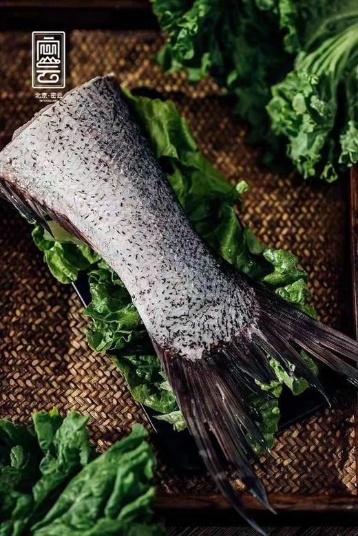 【顺丰包邮到家｜密云水库胖头鱼《一鱼六吃》礼盒装-9月23日截团25日发货】每日新鲜打捞 当天配送！水库鱼全部来自首都水源地，肉质鲜嫩、营养丰富、纯野生无土腥味、无污染而闻名。如风生活特惠 商品图2