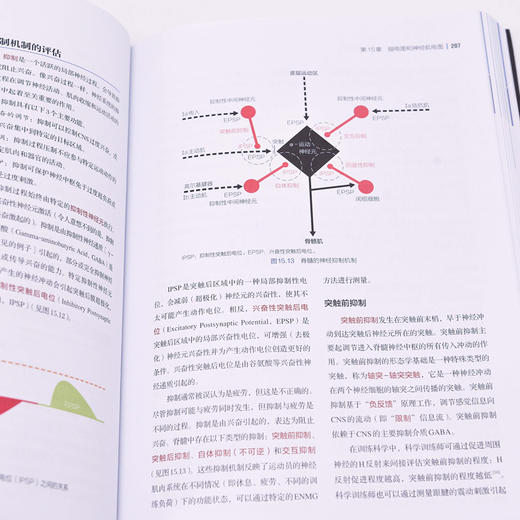 NSCA-CPSS美国国家体能协会运动表现与科学训练师认证指南 商品图3