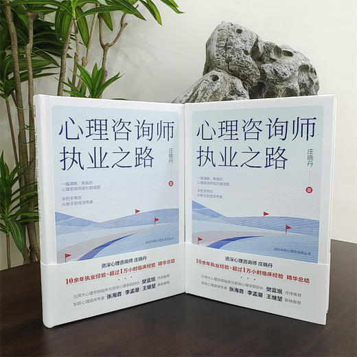 官网 心理咨询师执业之路 庄晓丹 成长中的心理咨询师丛书 心理咨询职业书籍 商品图3