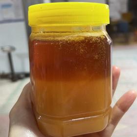 神农架天然野生土蜂蜜，百花蜜，木桶蜜500g