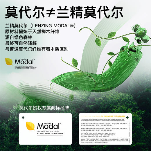 爱帝男士莫代尔山茶油打底上衣单件秋衣 商品图5