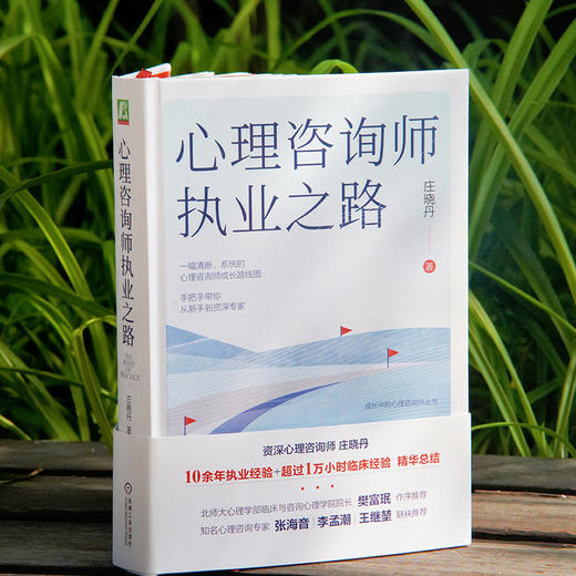 官网 心理咨询师执业之路 庄晓丹 成长中的心理咨询师丛书 心理咨询职业书籍 商品图1